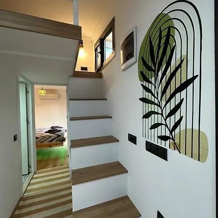 Hotel Virgo Tiny 3*